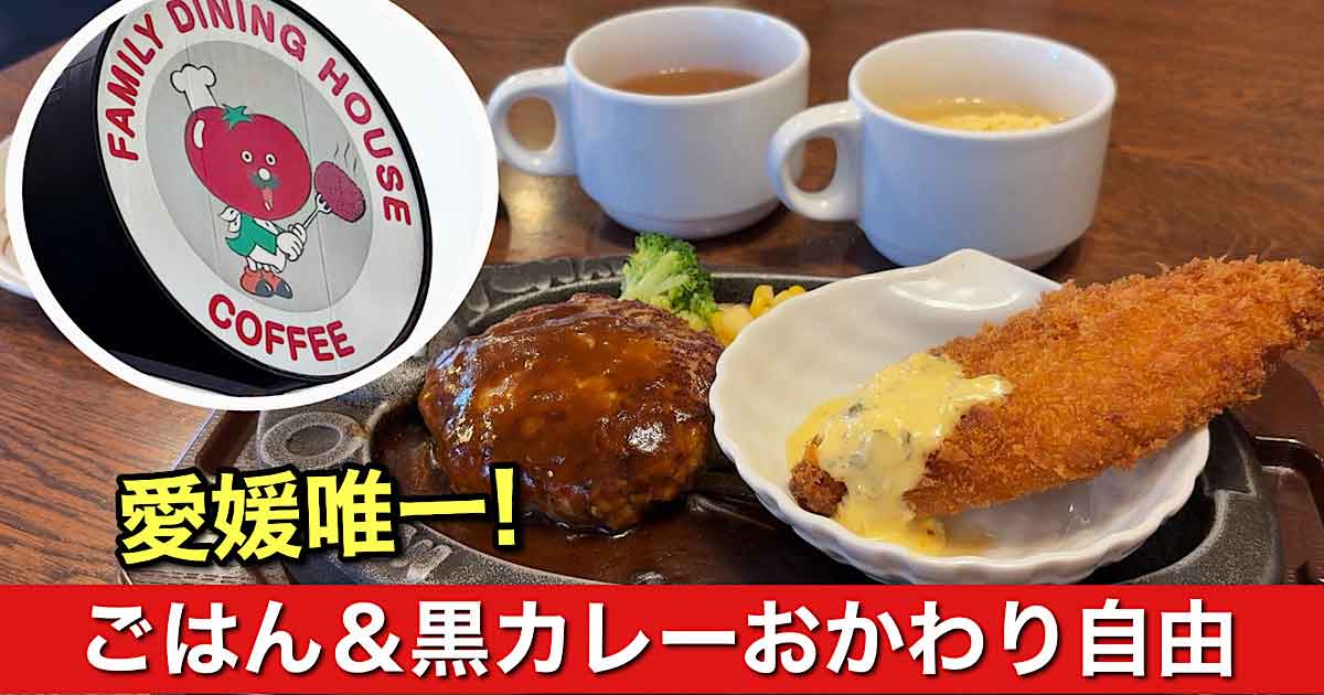 トマト＆オニオン大洲店のハンバーグとエビフライのランチ