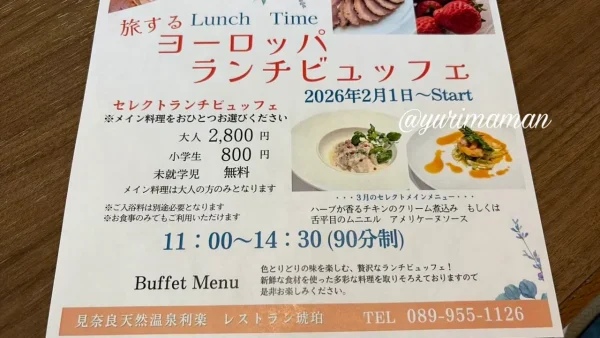 利楽ヨーロピアンビュッフェの内容（チラシ）