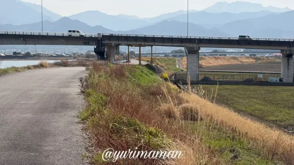 西条市中山川沿い、過去には菜の花がずらりと咲いていた場所2