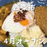 西条市壬生川 東予電気食堂 あいがけスパイスカレーランチ