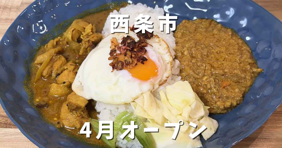 西条市壬生川 東予電気食堂 あいがけスパイスカレーランチ