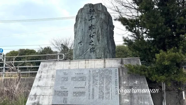 新千本桜乃碑 西条市 北条新田の桜並木 - ゆりママんブログ 新千本桜乃碑 西条市 北条新田の桜並木