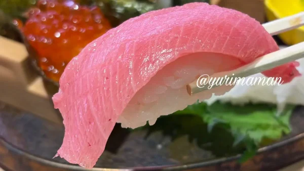 夢の五貫王の中トロ寿司｜とろける食感2