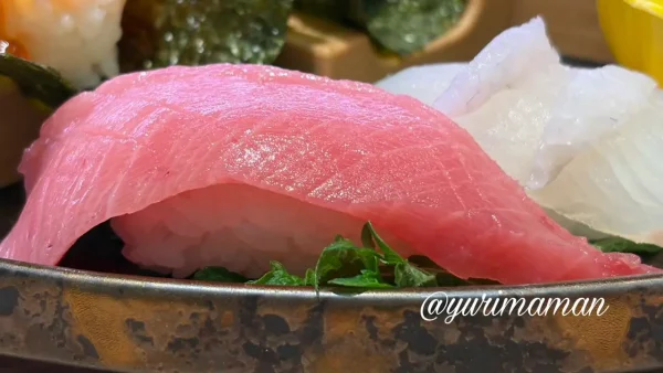 夢の五貫王の中トロ寿司｜とろける食感1