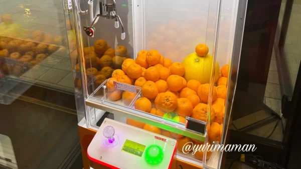 すしえもん道後店 みかんのクレーンゲーム - ゆりママんブログ すしえもん道後店 みかんのクレーンゲーム