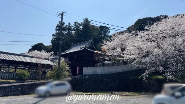 砥部町金昆羅山公園隣にある「理正院」の駐車場
