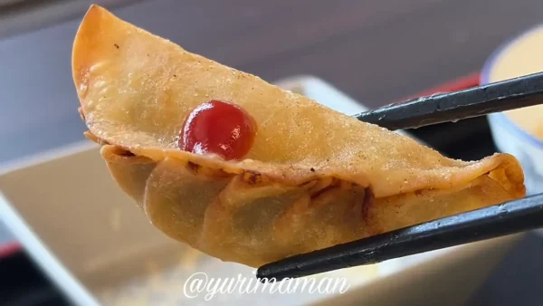 桃園 ランチセットの揚げ餃子