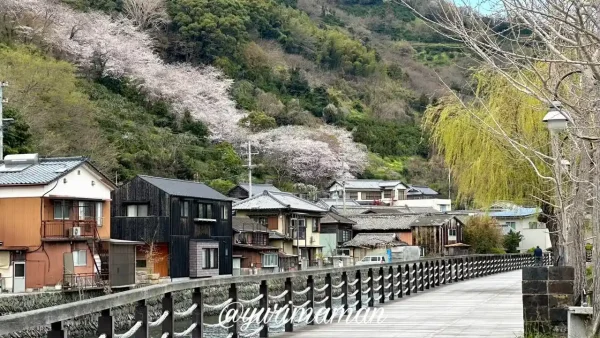 八幡浜市保内町 もっきんロード2