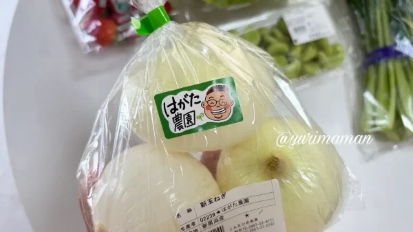 あかがね市四季菜広場 新居浜 波片農園の新玉ねぎ