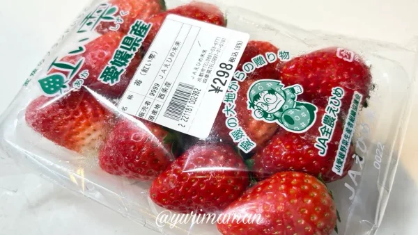 あかがね市四季菜広場で購入したいちご