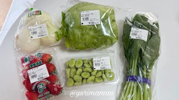 あかがね市四季菜広場で購入した野菜