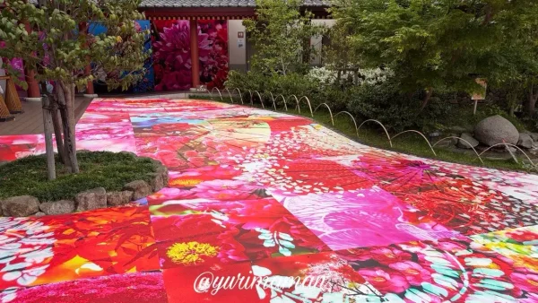 道後温泉 飛鳥乃湯泉 通路 花のパネルアート 蜷川実花3