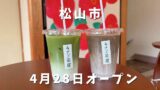 ゐさご茶屋 抹茶ラテと椿アートの店内 道後のカフェ