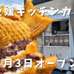 もぐもぐたい焼き専門店 愛媛支店 たい焼き断面とあんこ キッチンカー外観