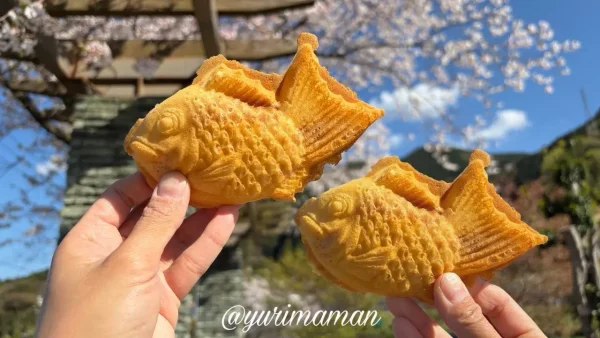 もぐもぐたい焼き専門店のたい焼きを持っている様子 - ゆりママんブログ もぐもぐたい焼き専門店のたい焼きを持っている様子