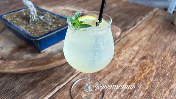 haguru cafeのレモネード(西条市) - ゆりママんブログ haguru cafeのレモネード(西条市)