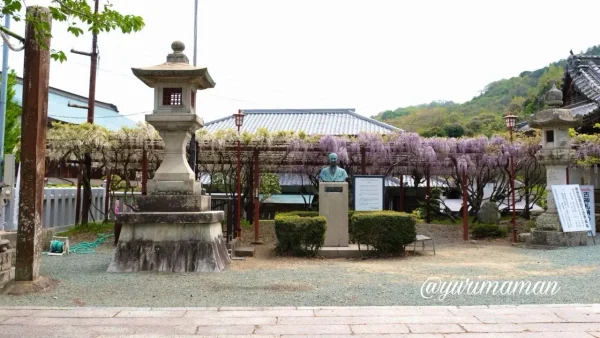 伊予市 伊豫稲荷神社の藤棚と境内の風景2 - ゆりママんブログ 伊予市 伊豫稲荷神社の藤棚と境内の風景2