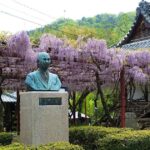 伊予市 伊豫稲荷神社の藤棚と神社の風景