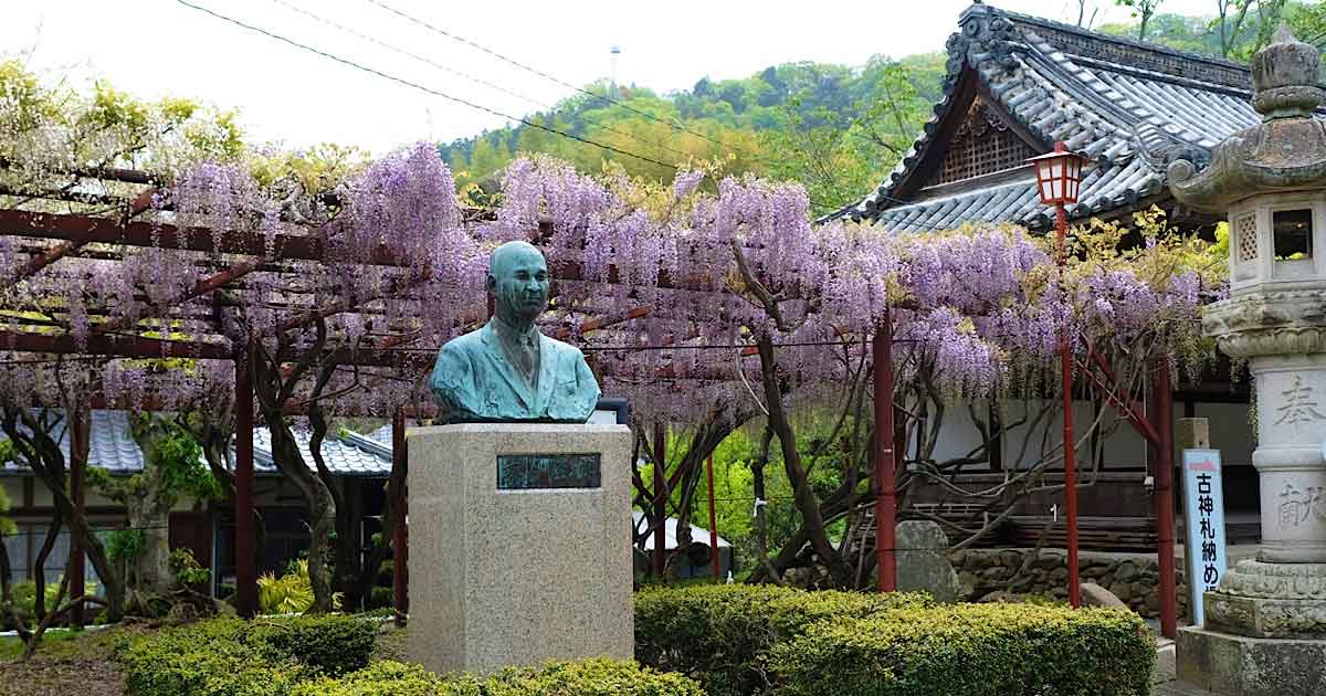 伊予市 伊豫稲荷神社の藤棚と神社の風景