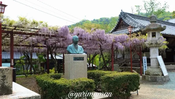 伊予市 伊豫稲荷神社の藤棚と境内の風景1 - ゆりママんブログ 伊予市 伊豫稲荷神社の藤棚と境内の風景1