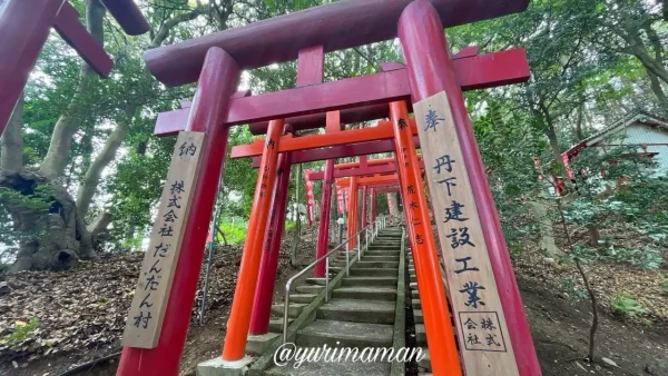 伊予市 伊豫稲荷神社の鳥居が続く小道2 - ゆりママんブログ 伊予市 伊豫稲荷神社の鳥居が続く小道2