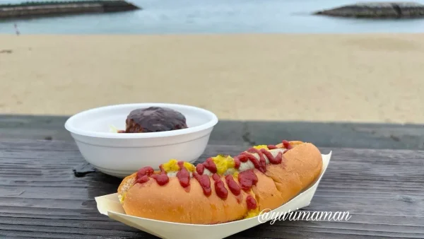 道の駅ふたみ 海を見ながら ユンゲモルゲン ハンバーグとホットドッグ