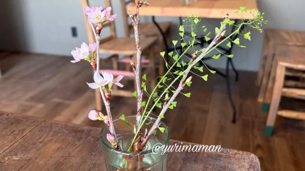 MADO table&flowerのテーブルにあった桜とぺんぺん草