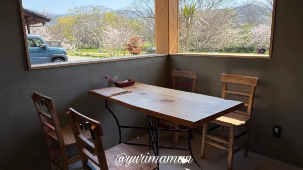 MADO table&flower 窓際席 桜が見える店内 松山市石手 レストラン