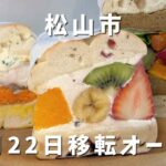 ネイビーベーグルズ平井町の極厚野菜サンドとフルーツサンドの断面