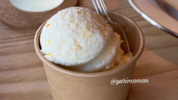 Abent Cafe 393 甘夏ジェラート 果肉入り 新居浜カフェスイーツ