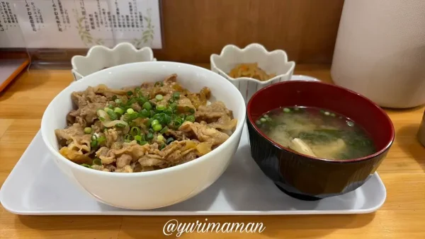 鉄板串焼こて 豚丼ランチ 1100円 ボリューム満点2