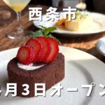 西条市壬生川の古民家カフェhaguru cafeのチョコロールケーキとドリップコーヒー