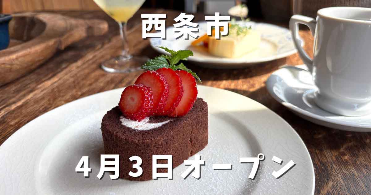 西条市壬生川の古民家カフェhaguru cafeのチョコロールケーキとドリップコーヒー