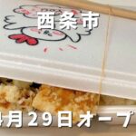 坂本商店 東予店 からあげ弁当 はみ出る ボリューム 西条市 テイクアウト