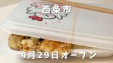 坂本商店 東予店 からあげ弁当 はみ出る ボリューム 西条市 テイクアウト