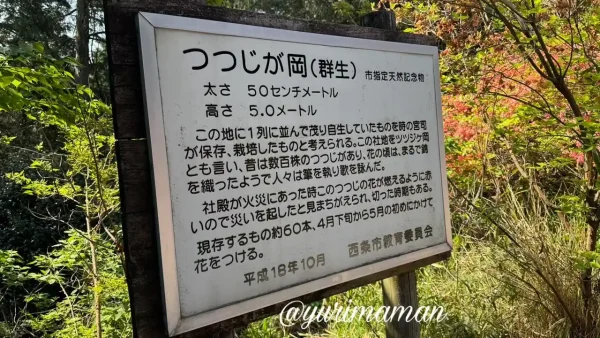 西条市丹原町 つつじが岡の看板 - ゆりママんブログ 西条市丹原町 つつじが岡の看板