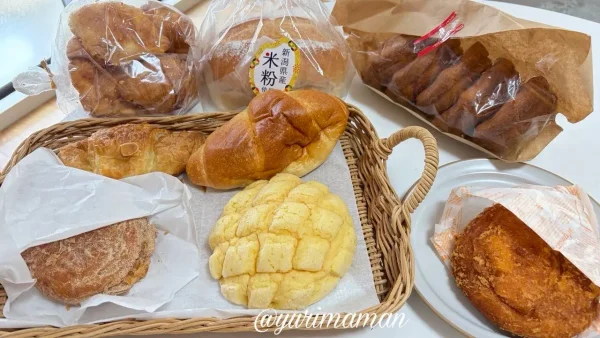 SHIKISAI工房で購入したパンの盛り合わせと実食レビュー用写真