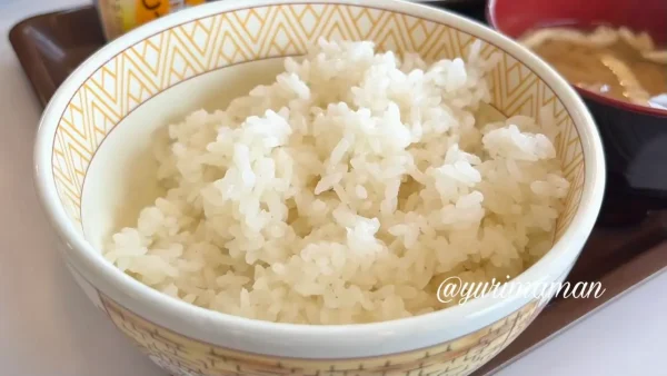 すき家朝定食のごはん