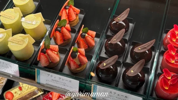 tsumugi ミニャルディーズ 小さなケーキ - ゆりママんブログ tsumugi ミニャルディーズ 小さなケーキ