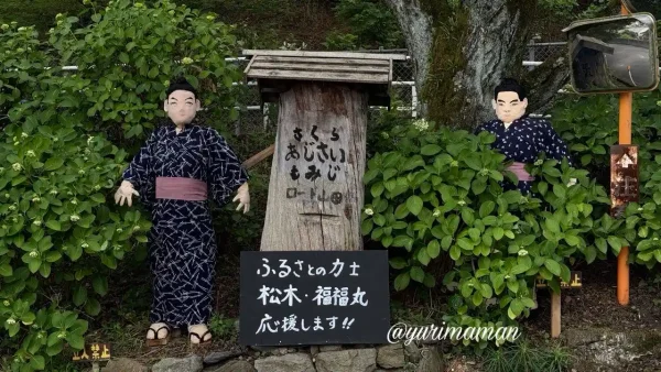あじさいロード山田で展示されている新居浜出身力士のかかし1