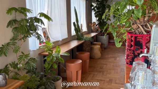 植物に囲まれた「b.i.e.l（ビエル）」のモーニング営業時の店内