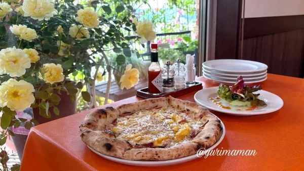今治市グラッチャーノのピザランチ｜窓際席からバラを眺めながら楽しむ春ランチ