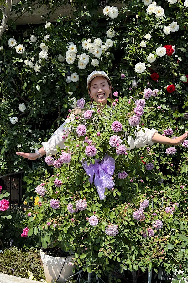 今治市グラッチャーノのバラのトルソー｜バラのドレス風フォトスポット（2026年5月）