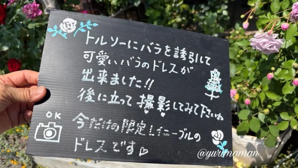 今治市グラッチャーノのバラのトルソー案内看板｜フォトスポット紹介