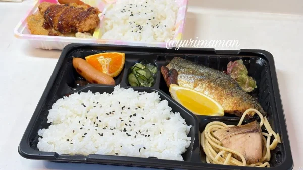 媛ぽっぽの日替わり弁当と焼き魚弁当2