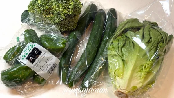 井戸商店で販売されていた新鮮な野菜2