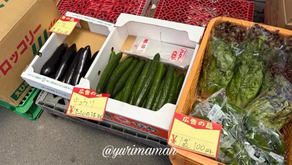 井戸商店で販売されていた新鮮な野菜