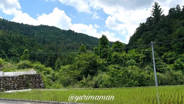 久万高原町の風景 - ゆりママんブログ 久万高原町の風景