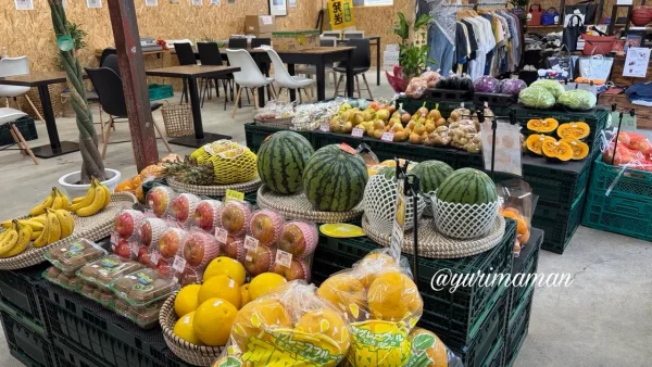 LIT808の野菜と果物売り場｜松山市和気町の八百屋スペース