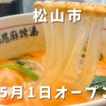 福恩麻辣湯松山店のマーラータンと春雨を持ち上げた様子